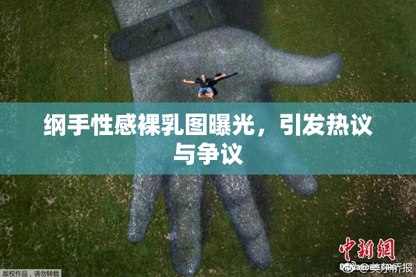 纲手性感裸乳图曝光，引发热议与争议