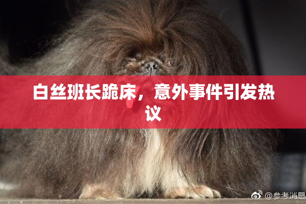 白丝班长跪床，意外事件引发热议