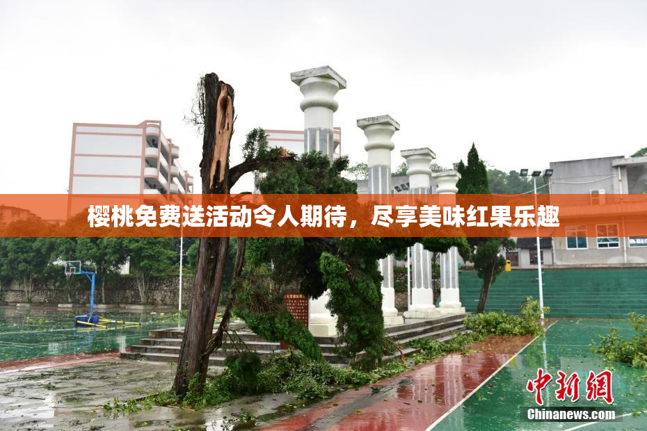 樱桃免费送活动令人期待，尽享美味红果乐趣