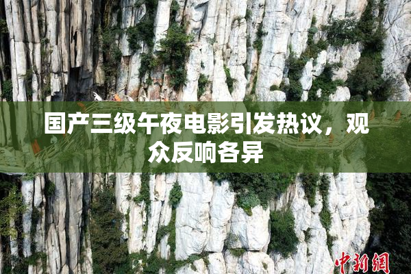 国产三级午夜电影引发热议，观众反响各异