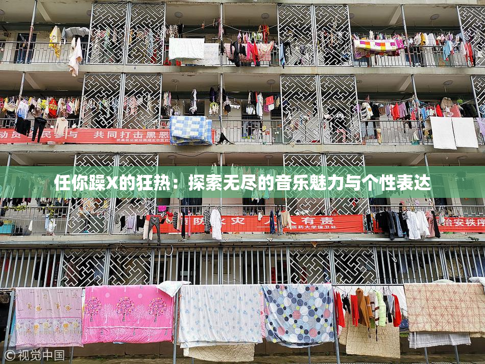 任你躁X的狂热：探索无尽的音乐魅力与个性表达