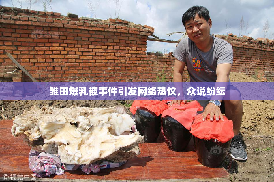 雏田爆乳被事件引发网络热议，众说纷纭
