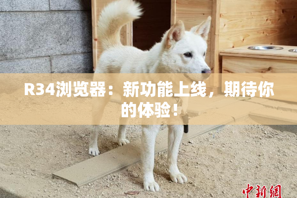 R34浏览器：新功能上线，期待你的体验！