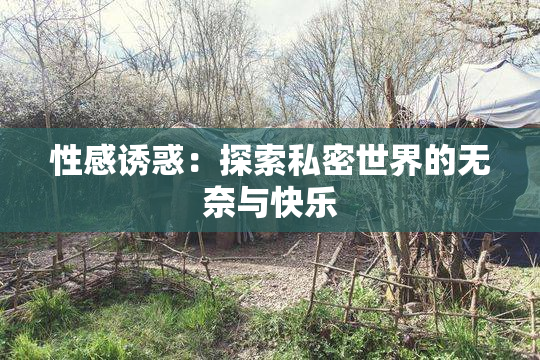 性感诱惑：探索私密世界的无奈与快乐