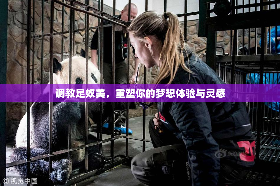 调教足奴美，重塑你的梦想体验与灵感