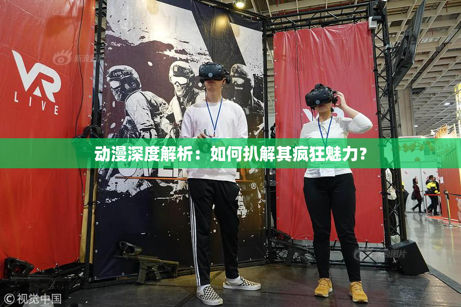 动漫深度解析：如何扒解其疯狂魅力？