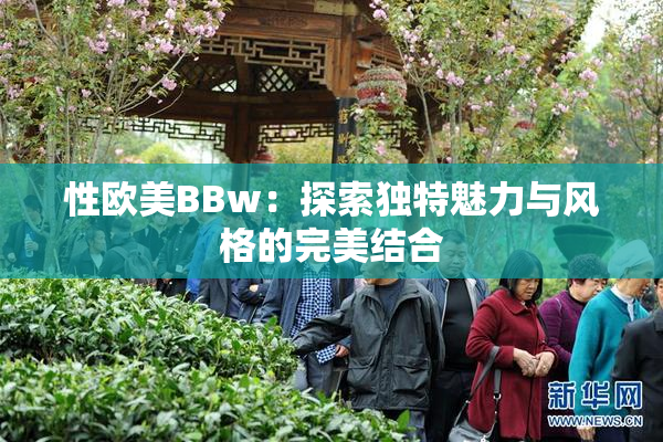 性欧美BBw：探索独特魅力与风格的完美结合