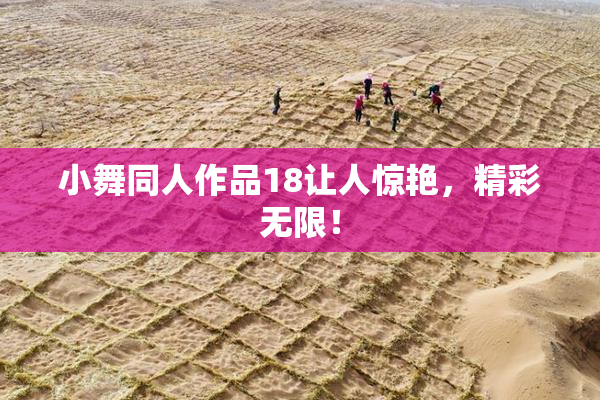 小舞同人作品18让人惊艳，精彩无限！