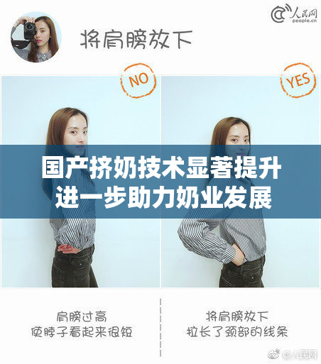 国产挤奶技术显著提升 进一步助力奶业发展