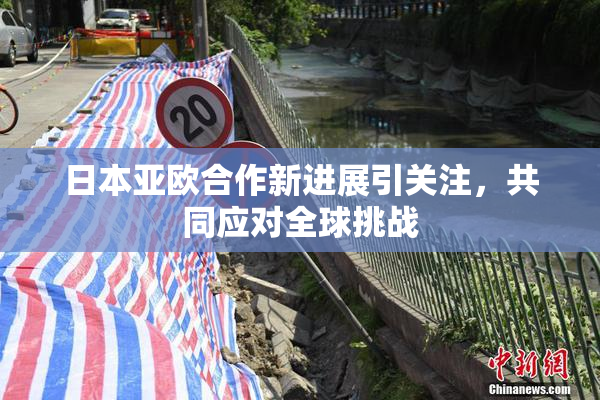 日本亚欧合作新进展引关注，共同应对全球挑战
