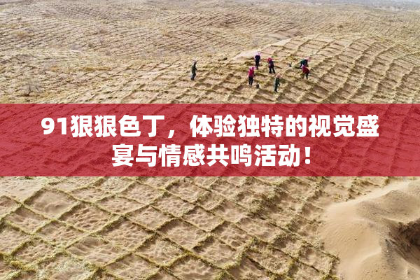 91狠狠色丁，体验独特的视觉盛宴与情感共鸣活动！