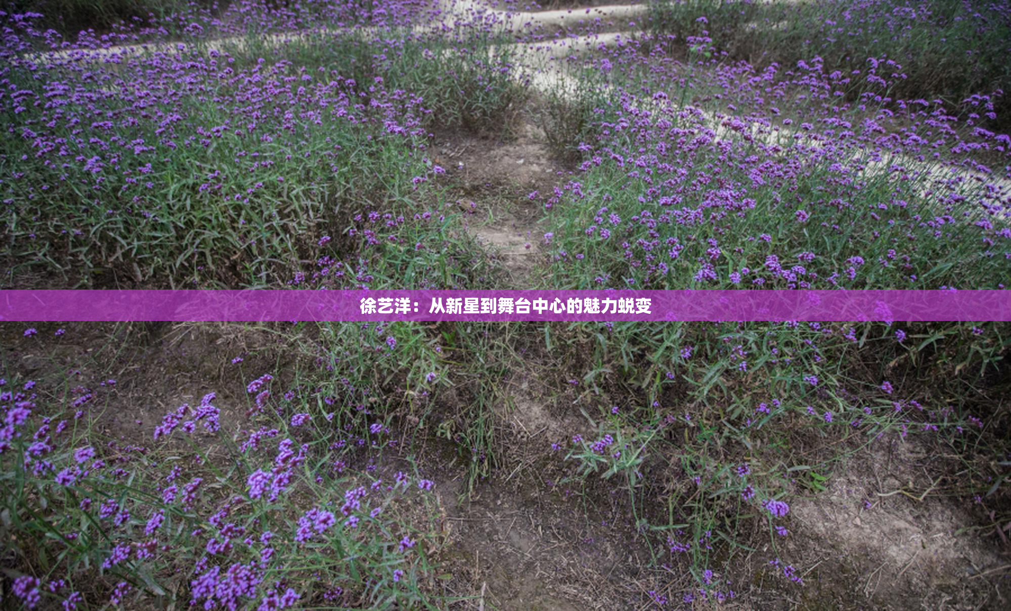 徐艺洋：从新星到舞台中心的魅力蜕变