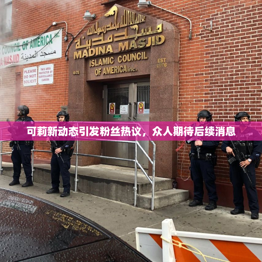可莉新动态引发粉丝热议，众人期待后续消息