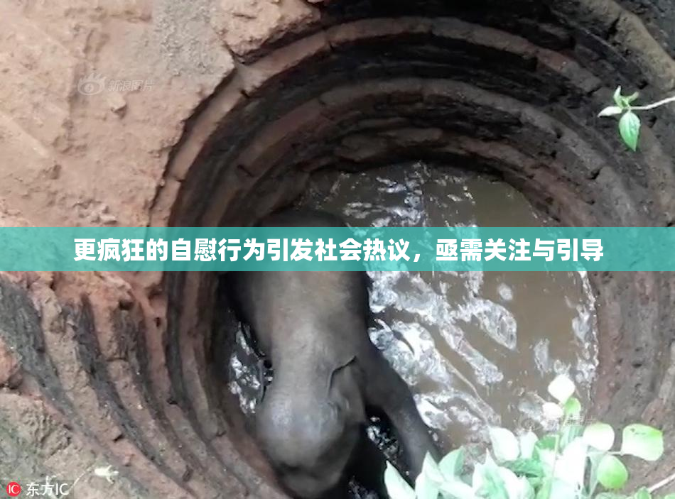 更疯狂的自慰行为引发社会热议，亟需关注与引导