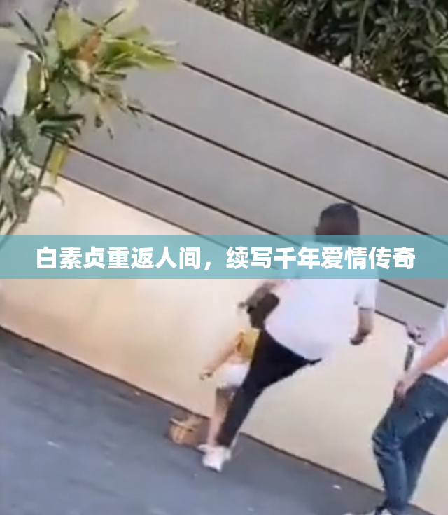 白素贞重返人间，续写千年爱情传奇
