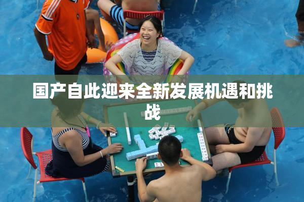 国产自此迎来全新发展机遇和挑战