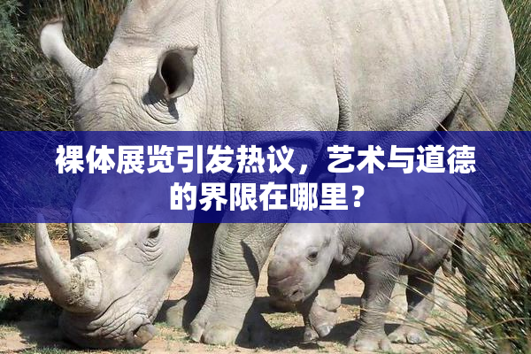 裸体展览引发热议，艺术与道德的界限在哪里？