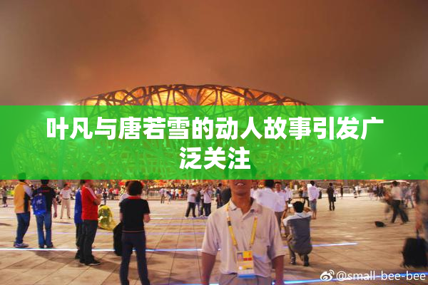 叶凡与唐若雪的动人故事引发广泛关注