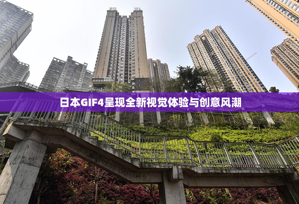 日本GIF4呈现全新视觉体验与创意风潮