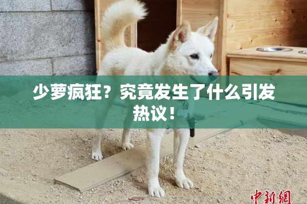 少萝疯狂？究竟发生了什么引发热议！