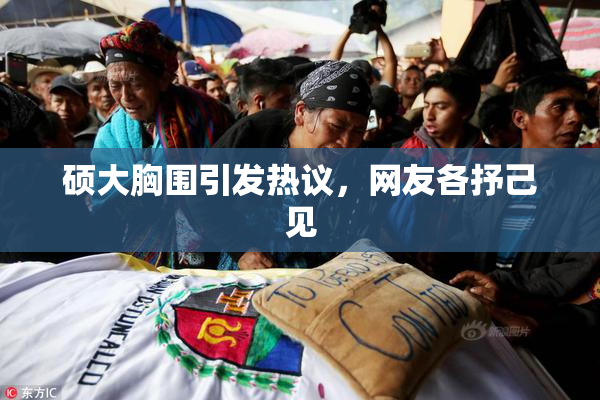 硕大胸围引发热议，网友各抒己见