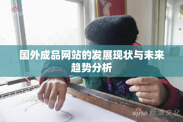 国外成品网站的发展现状与未来趋势分析