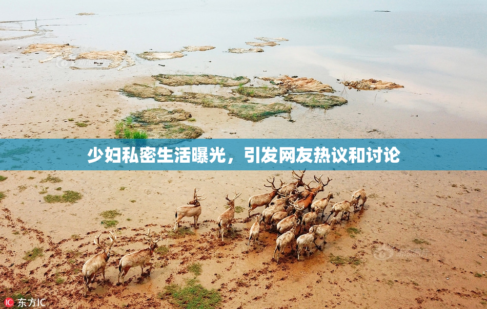 少妇私密生活曝光，引发网友热议和讨论