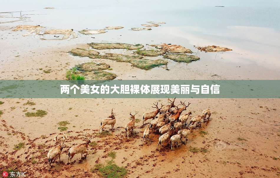 两个美女的大胆裸体展现美丽与自信