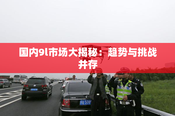 国内9l市场大揭秘：趋势与挑战并存