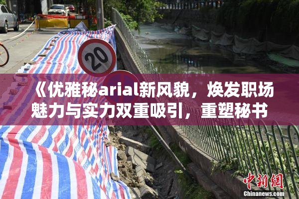 《优雅秘arial新风貌，焕发职场魅力与实力双重吸引，重塑秘书形象》