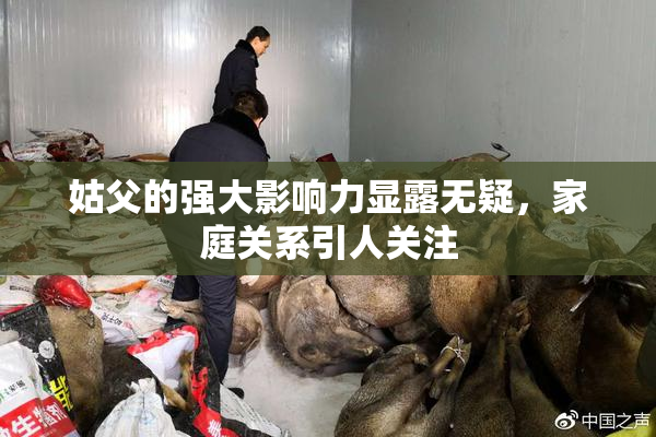 姑父的强大影响力显露无疑，家庭关系引人关注