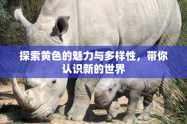 探索黄色的魅力与多样性，带你认识新的世界