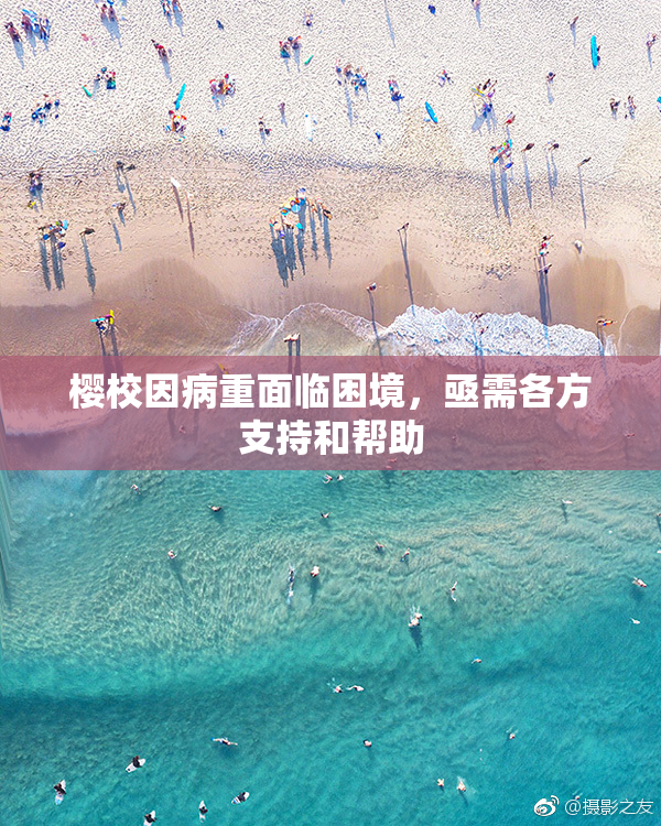 樱校因病重面临困境，亟需各方支持和帮助