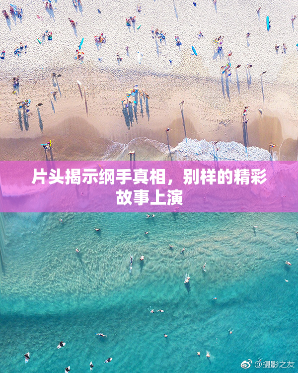 片头揭示纲手真相，别样的精彩故事上演
