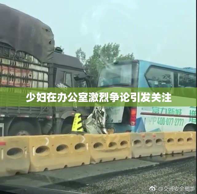 少妇在办公室激烈争论引发关注