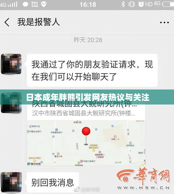 日本成年胖熊引发网友热议与关注