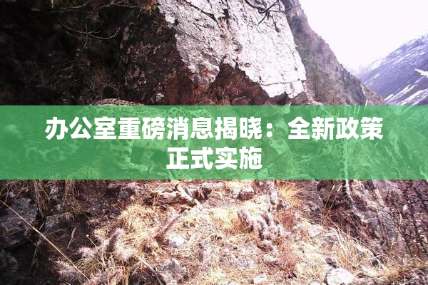 办公室重磅消息揭晓：全新政策正式实施