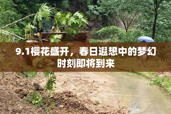 9.1樱花盛开，春日遐想中的梦幻时刻即将到来