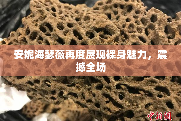 安妮海瑟薇再度展现裸身魅力，震撼全场