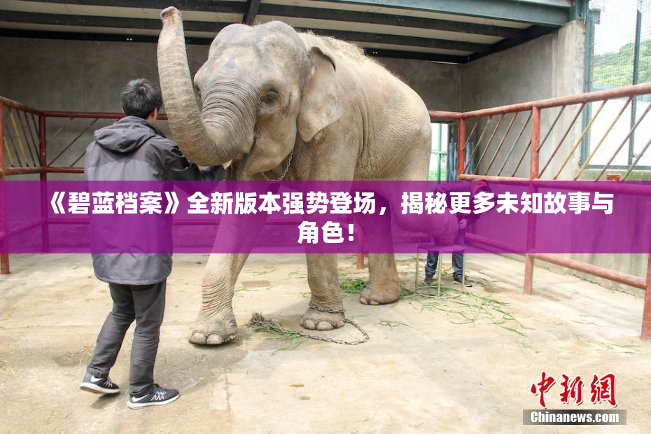 《碧蓝档案》全新版本强势登场，揭秘更多未知故事与角色！