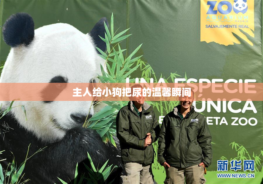 主人给小狗把尿的温馨瞬间