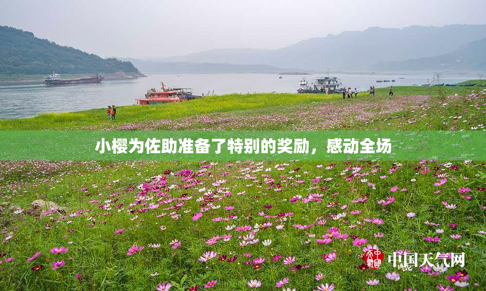小樱为佐助准备了特别的奖励，感动全场