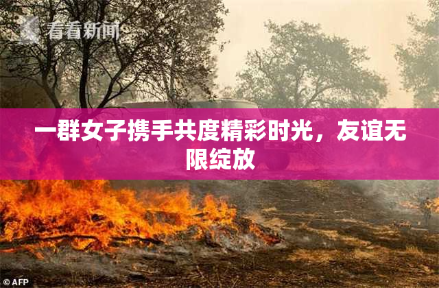 一群女子携手共度精彩时光，友谊无限绽放