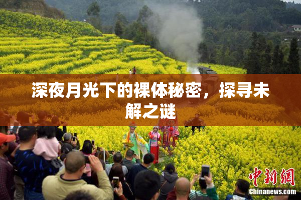 深夜月光下的裸体秘密，探寻未解之谜