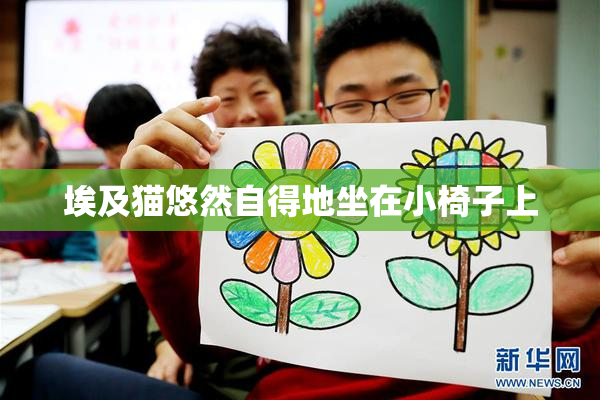 埃及猫悠然自得地坐在小椅子上