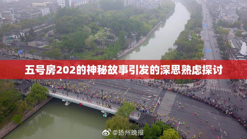 五号房202的神秘故事引发的深思熟虑探讨
