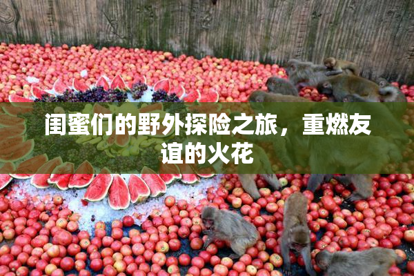 闺蜜们的野外探险之旅，重燃友谊的火花