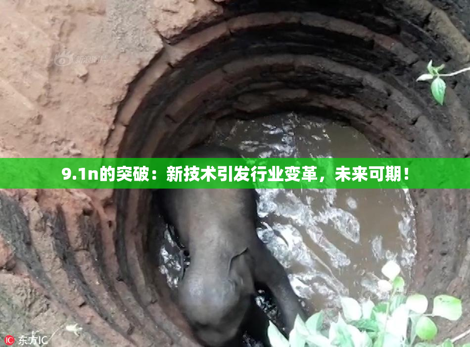 9.1n的突破：新技术引发行业变革，未来可期！