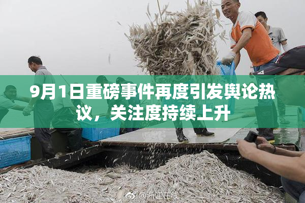 9月1日重磅事件再度引发舆论热议，关注度持续上升