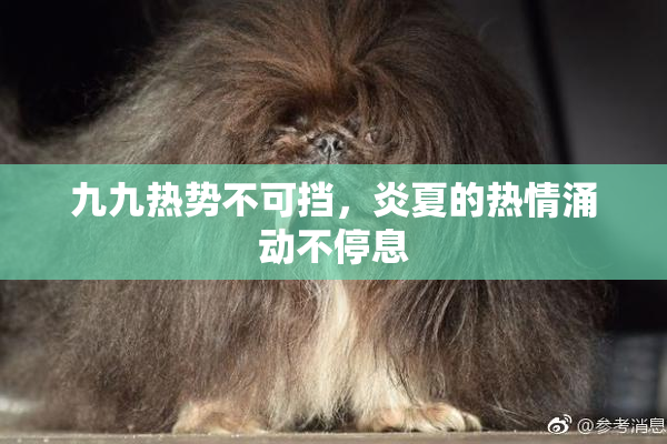 九九热势不可挡，炎夏的热情涌动不停息